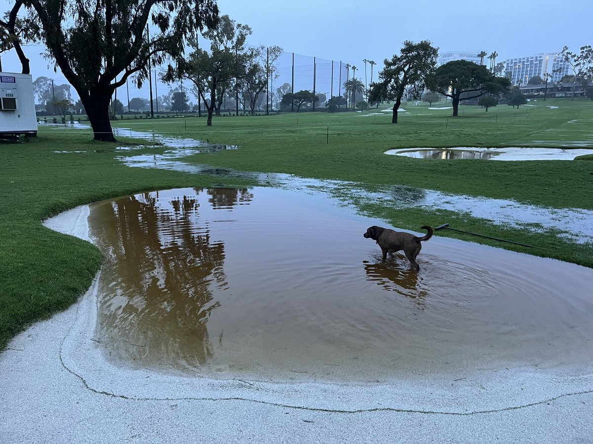 Scot Dey (@scotdey) on Twitter photo Course drained off well after 3” in 15 hours-still a few wet areas. Team crushed putting it back together today! Scout had a blast too…should be a great weekend ahead if the weather holds off <a href="/HoagClassic/">Hoag Classic</a> Course drained off well after 3” in 15 hours-still a few wet areas. Team crushed putting it back together today! Scout had a blast too…should be a great weekend ahead if the weather holds off <a href="/HoagClassic/">Hoag Classic</a>