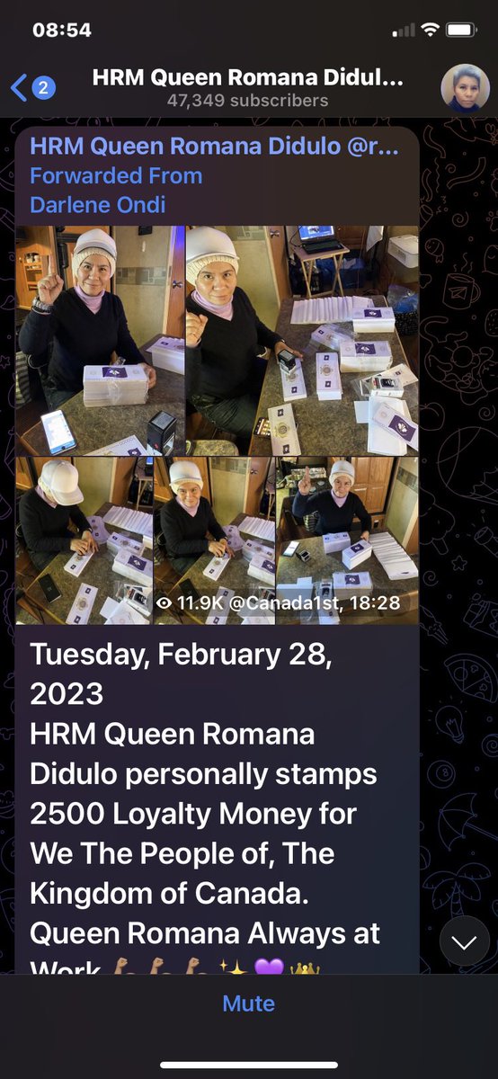 CALoyaltyMoney's tweet photo. March 4, 2023

HRM Queen Romana Didulo Commander-in-Chief and Queen of the Kingdom of Canada continues her work on Loyalty Money, for the We The People  of the Kingdom of Canada 👑☝️🤗💫 https://t.co/20vutSbUl5