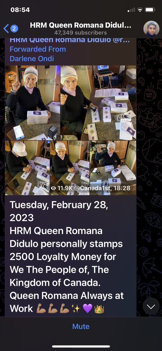 CALoyaltyMoney's tweet photo. March 4, 2023

HRM Queen Romana Didulo Commander-in-Chief and Queen of the Kingdom of Canada continues her work on Loyalty Money, for the We The People  of the Kingdom of Canada 👑☝️🤗💫 https://t.co/20vutSbUl5