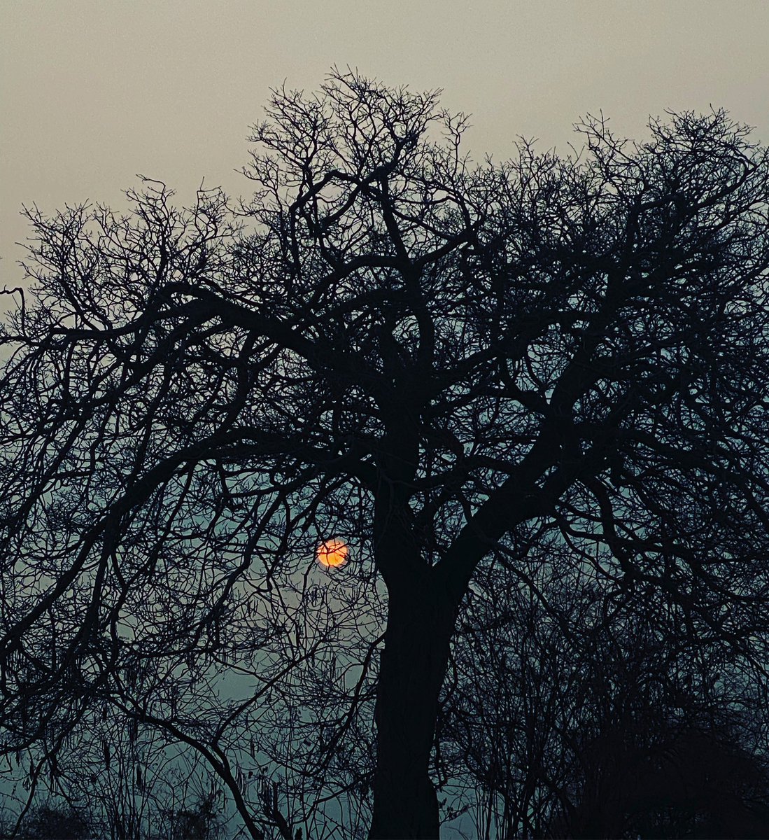 ಬೆಳಗಿನ ಬಣ್ಣಗಳು
Morning hues

#morningwalk #nature #morning #sunrise #morningvibes #naturephotography #photography #goodmorning #morningmotivation #walk #morningroutine #photooftheday #walking #love #ig #naturelovers #autumn #landscape #landscapephotography #instagood #sunshine