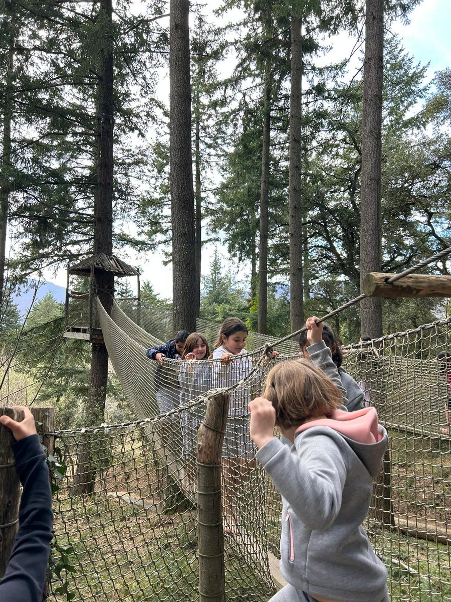 escolaelshorts's tweet photo. Selva d'aventura amb els nens i nenes de 3r i la #casadelaire.
Tot un món de sensacions!
#aventura 
#descobrim
#sentits
#natura https://t.co/PfVCPzilZh