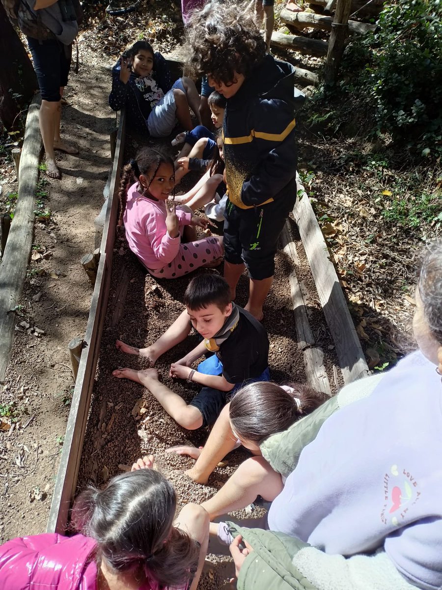 escolaelshorts's tweet photo. Selva d'aventura amb els nens i nenes de 3r i la #casadelaire.
Tot un món de sensacions!
#aventura 
#descobrim
#sentits
#natura https://t.co/PfVCPzilZh