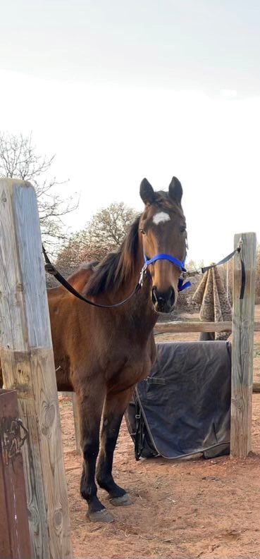 R.A.C.E. Fund, Inc. tweet media