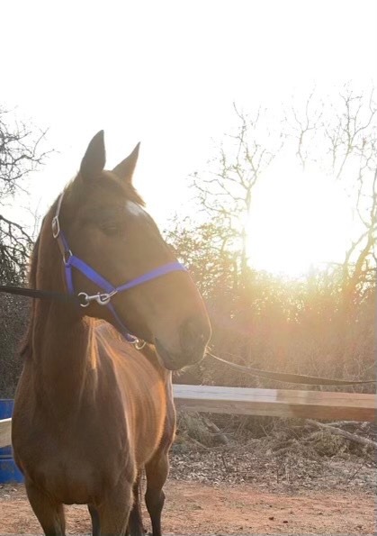 R.A.C.E. Fund, Inc. tweet media