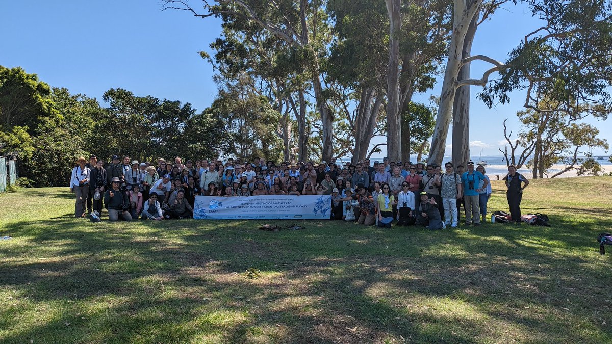EAAFP's tweet photo. Day 4 of #EAAFP #MOP11 We are visiting the North Stradford Island, to refresh, watch birds and enjoy the great nature. We also enjoyed the traditional dance by quandamooka tribe people. https://t.co/bbRj7oTo6K