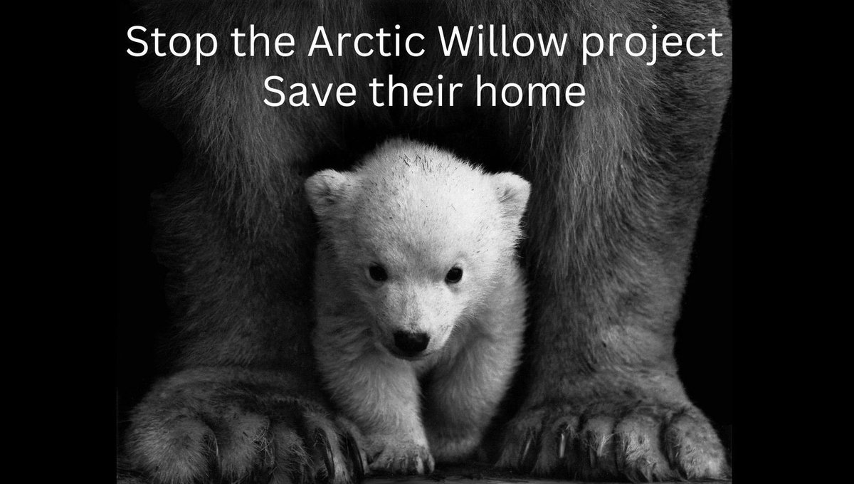 Ambientalgirl10's tweet image. #envirolmentaljustice #helptheanimals #StopWillow
The polar bears are in extremely danger we need to act NOW! #savethepolarbear
