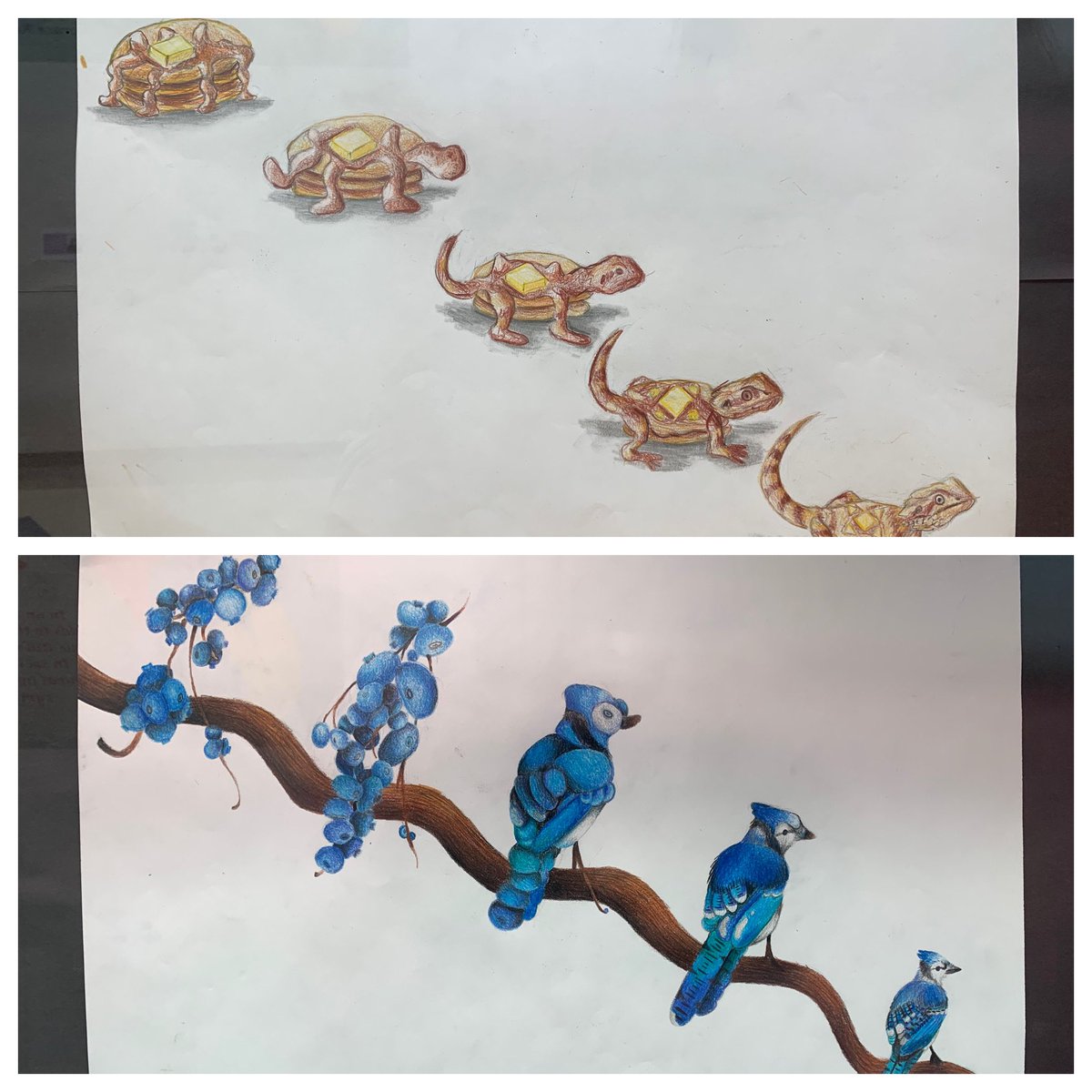 Tamara Mills tweet media