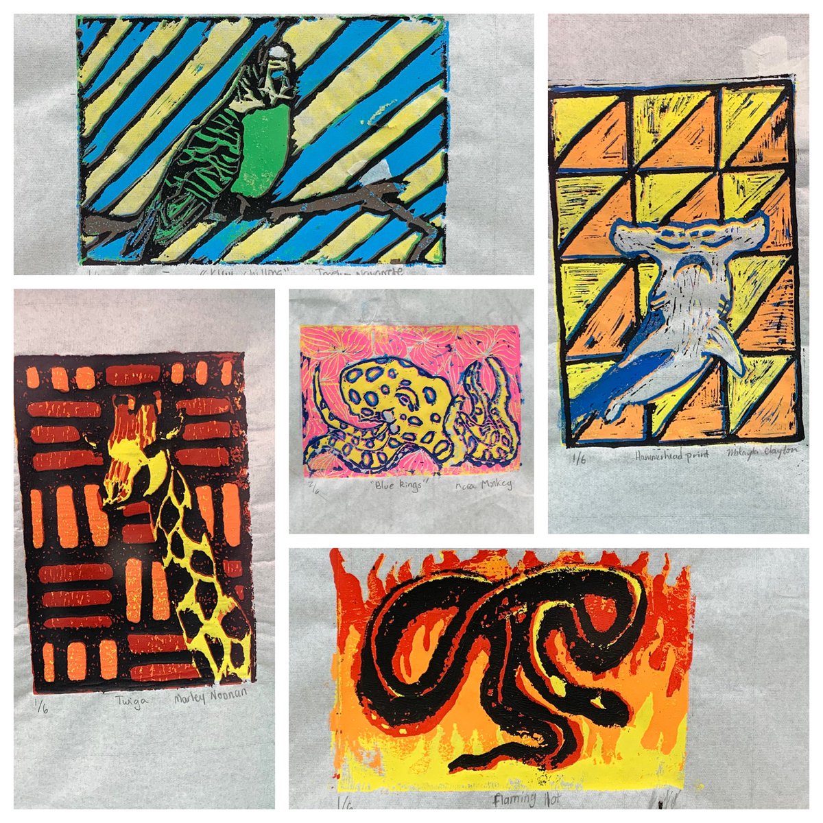 Tamara Mills tweet media