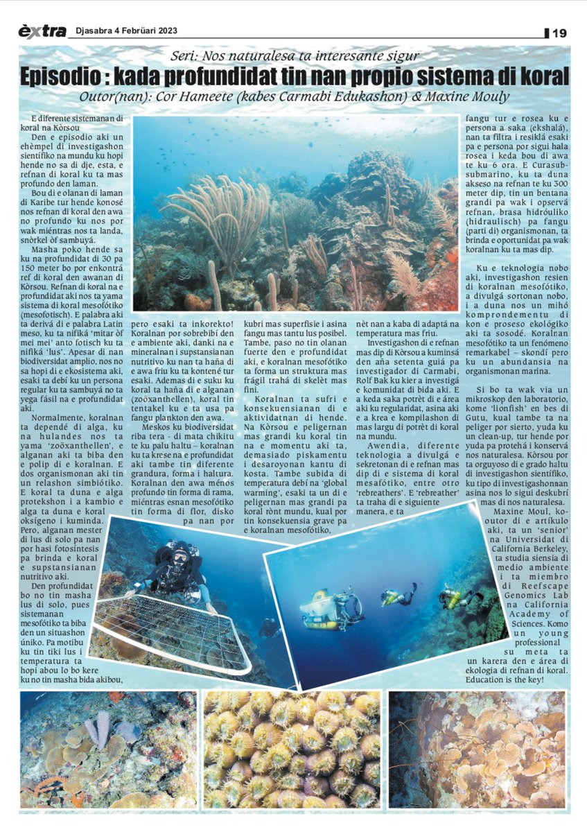 Reefscape Genomics Lab @ CalAcademy (@reefscapegenomx) on Twitter photo Great feature by lab member @MaxineMouly & #CARMABI Edu about #mesophotic coral ecosystems in Curaçao - published this week in two Curaçaoan newspapers (#AntilliaansDagblad and @ExtraCuracao) <a href="/calacademy/">California Academy of Sciences</a> <a href="/SubstationCur/">Substation Curacao</a> #HopeForReefs Great feature by lab member @MaxineMouly & #CARMABI Edu about #mesophotic coral ecosystems in Curaçao - published this week in two Curaçaoan newspapers (#AntilliaansDagblad and @ExtraCuracao) <a href="/calacademy/">California Academy of Sciences</a> <a href="/SubstationCur/">Substation Curacao</a> #HopeForReefs