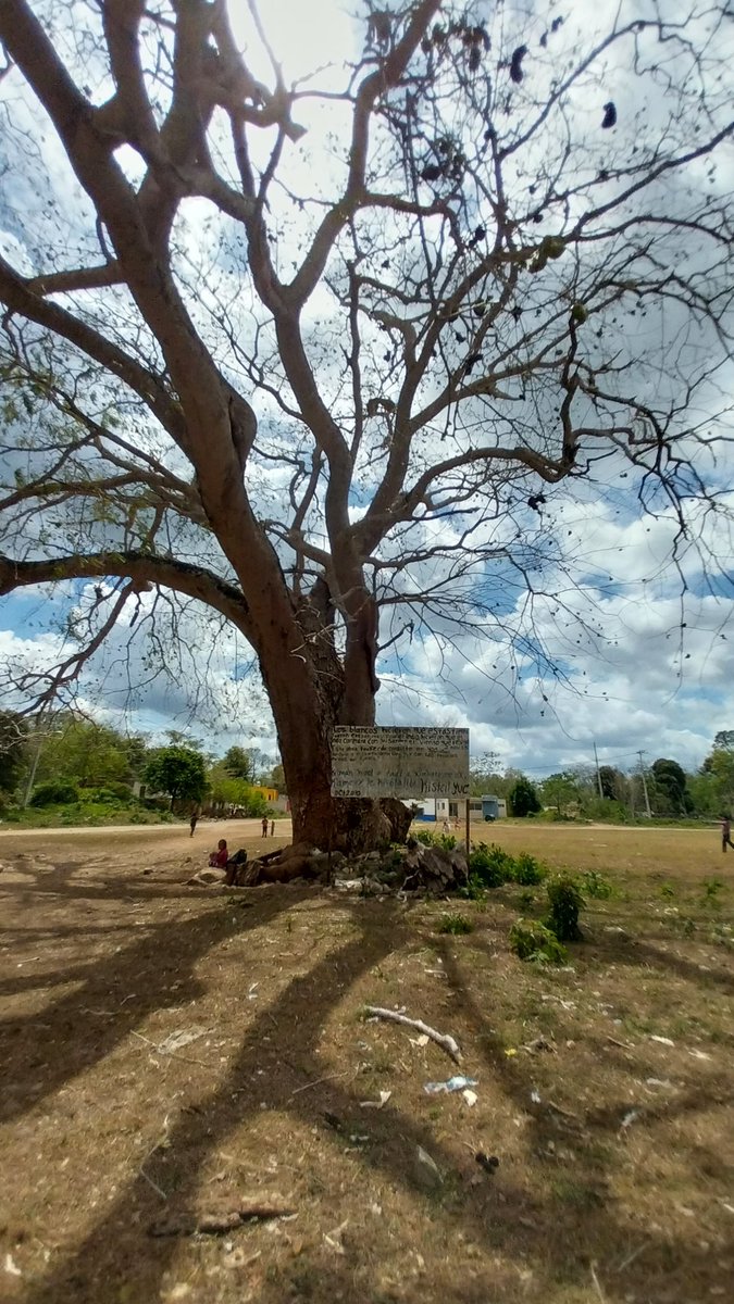 fatimatecpool's tweet photo. Busto de Jacinto #Canek, lider indigena que en 1761 incitó a los indigenas a revelarse contra los españoles, allá en Kisteil. Después de muchos años regresé a este lugar el cual me trajo mucha nostalgia. 
#PueblosMayas #Cisteil https://t.co/UTH90L7faa