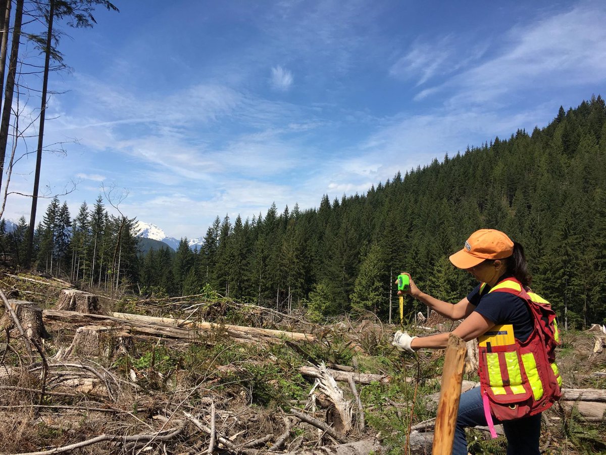 Resource_Works's tweet photo. Forest professionals 'part of the solution to ensure BC's forests are here for generations to come.' https://t.co/Ma1vmjlQvF @Global_Heroes_m
• And the Forest Professionals of BC have a new website: https://t.co/8nZpV9PIcR
#bcforestry #ABCFP #bcpoli https://t.co/27xmgQctBZ