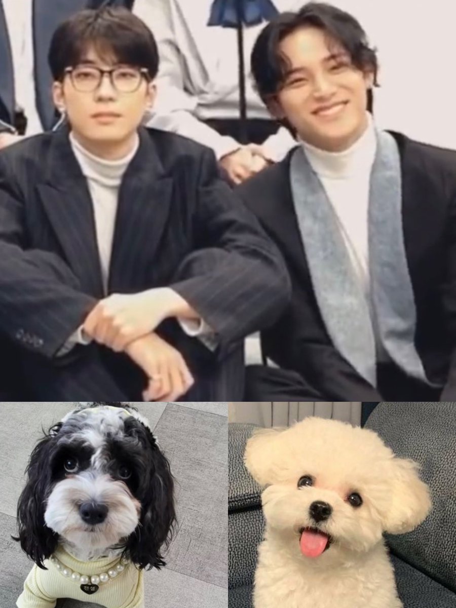 pebblabla's tweet photo. 아니어떻게 이렇게 분위기가 똑같냐 ㅈㄴ개신기함 엔즈데이 설이 이니드 밥푸리 수준 ㄷㄷㄷㄷ 하너무신기해 https://t.co/53JZWUU5Ci