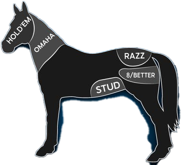 Ape In Poker tweet media