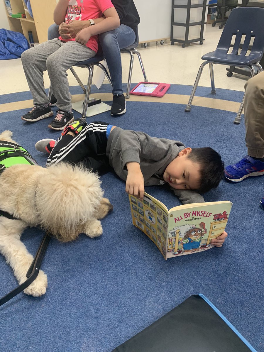 MECC_Counselor2's tweet photo. Shiner had a great time hanging out with the 🐨 & 🐛 today! Gibson even joined us for some 🎾 time with them. We were too quick to get a good picture! 🤣 #MVPs #MostValuablePups #ShinerLove #GibsonSparkles @schatzj9 @MrsBly_MECC @MasonSchools https://t.co/yhAHZ5wnSb