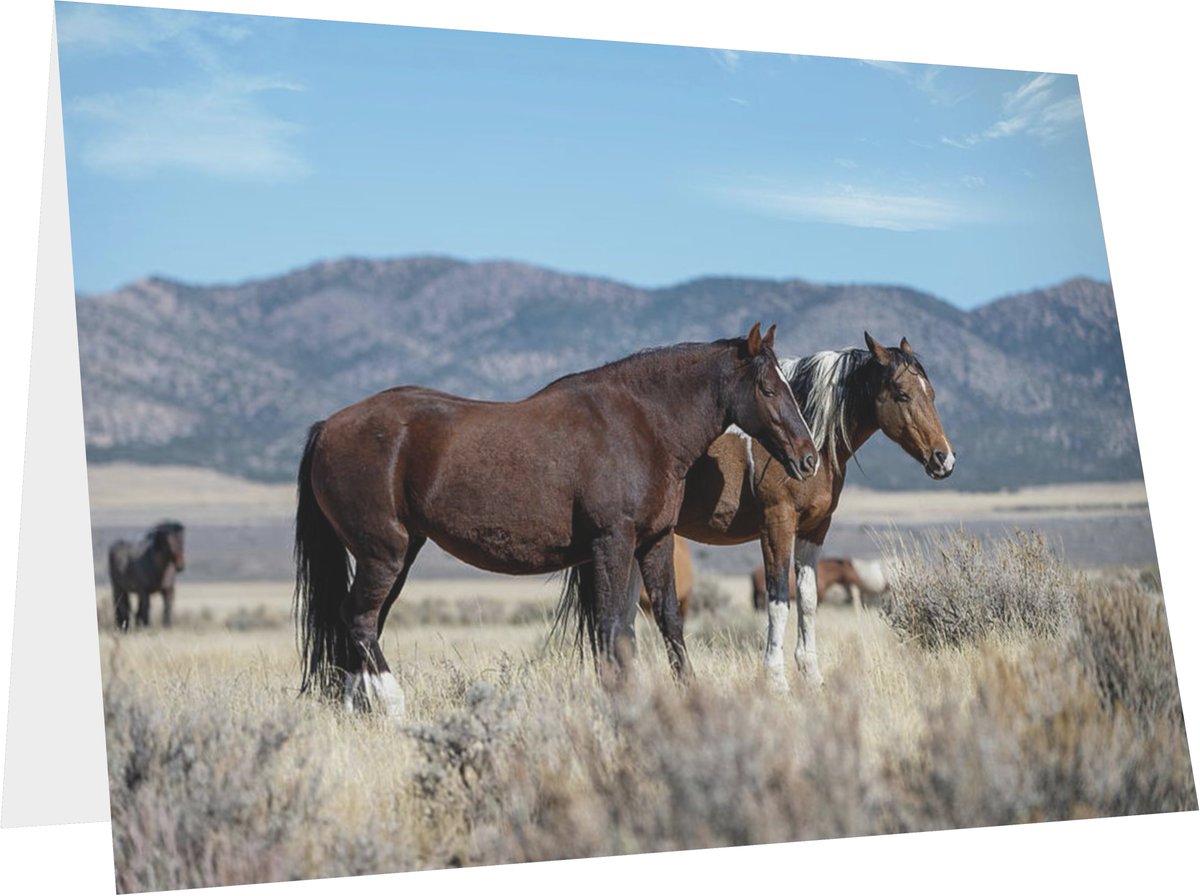 FonDenton_Art's tweet photo. #SendCardsNotTexts! Special people deserve art and a personal touch. #Framable too!
Find It: https://t.co/JWE0ZZl3HZ
#WildHorse #Horse #Horses #Mustangs #SpringIntoArt #Cards #GreetingCards #Write #Gifts #PersonalTouch #BuyIntoArt #TheArtDistrict #HorseLover #PhotographyIsArt https://t.co/M9wBHVdJe5