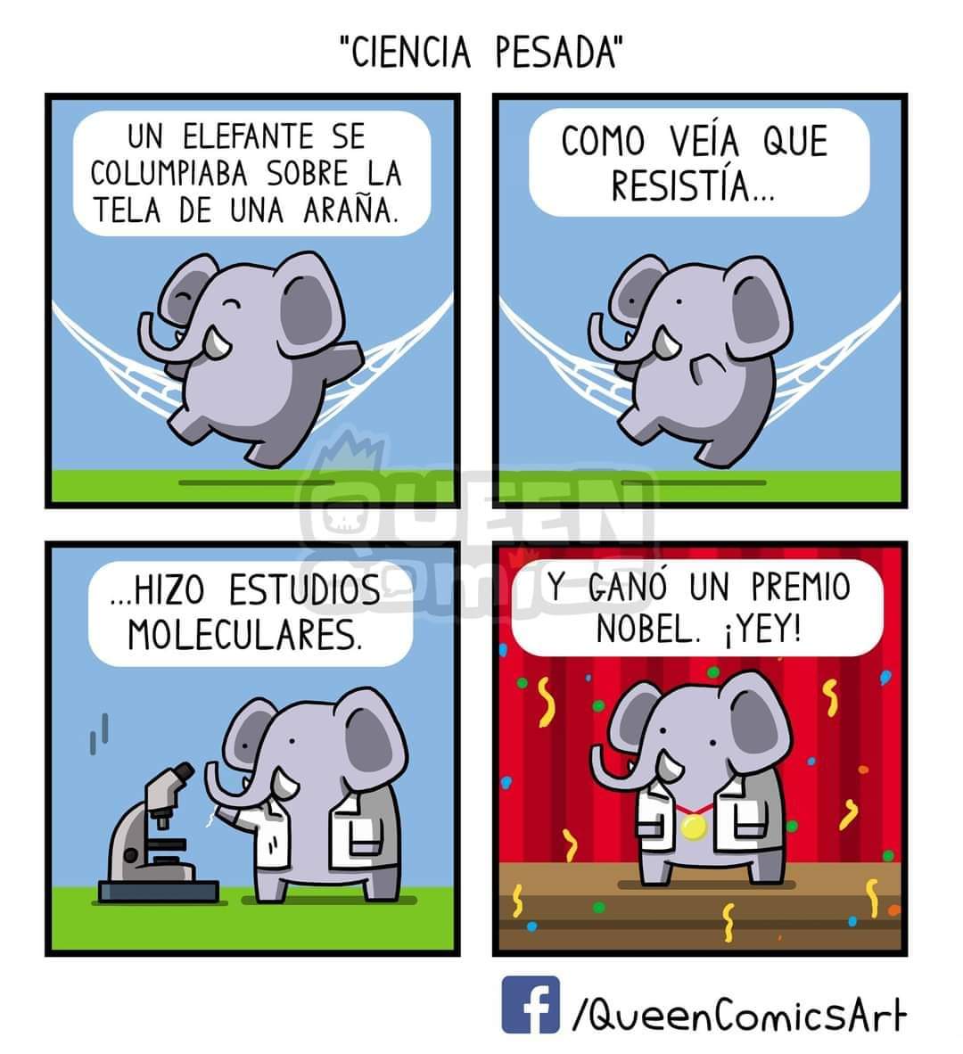 Bazantar's tweet image. La tela de araña es Biocompatible con nuestro cuerpo, lo que significa que en el futuro podremos fabricar vandajes que se disolverán dentro del cuerpo humano #MedicinaRegenerativa #DatoRandom