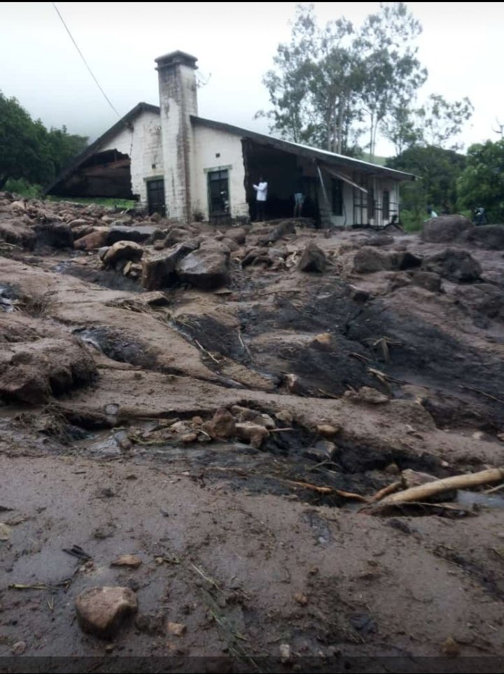 Inkosi Emmanuel Gift Mlauzi Mulangeni Xholanqa tweet media