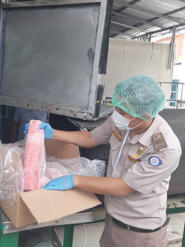 BKIPMBitung's tweet photo. 16/03 Kegiatan pengawasan lalulintas komoditi perikanan domestik keluar tujuan Jakarta di Unit Pengolahan Ikan di Bitung. 
#KKPThrive 
@bkipm_kkp 
@Muhlin21 
@pondaag_vera 
@BKIPMManado https://t.co/MR8aWk2eLm