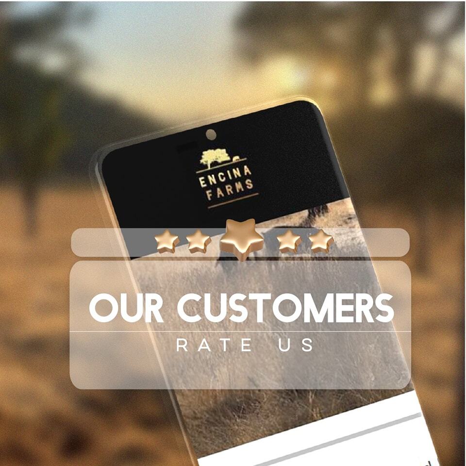 Encina Farms tweet media