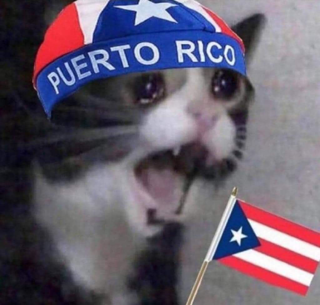 giupuyola's tweet photo. Yo cuando sacaron a Sugar en silla de ruedas https://t.co/VNmzaq2kpM