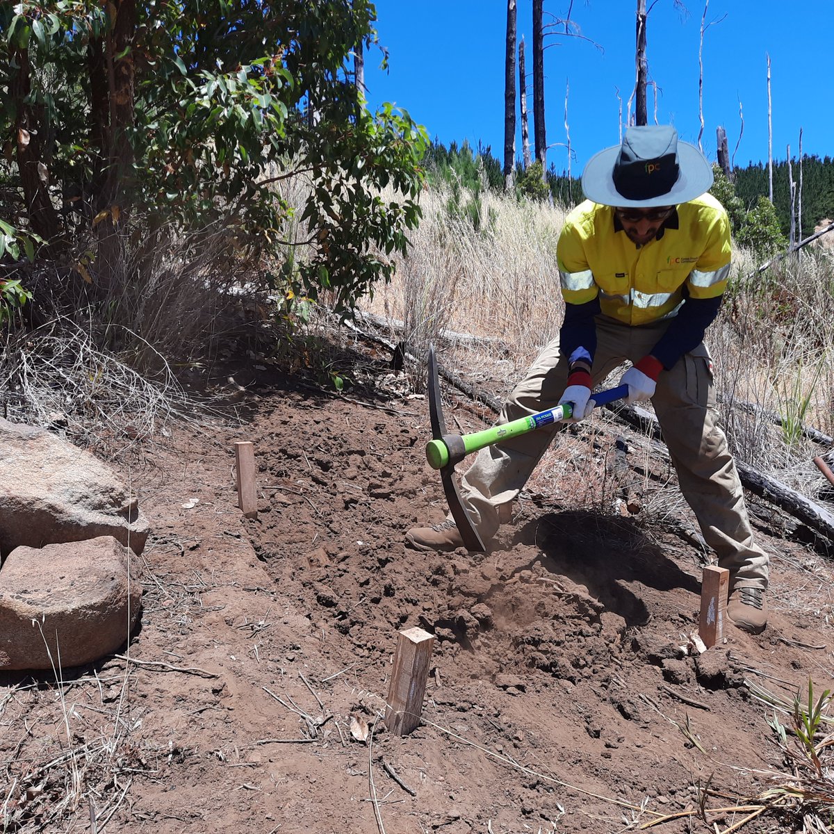 Forest Products Commission tweet media