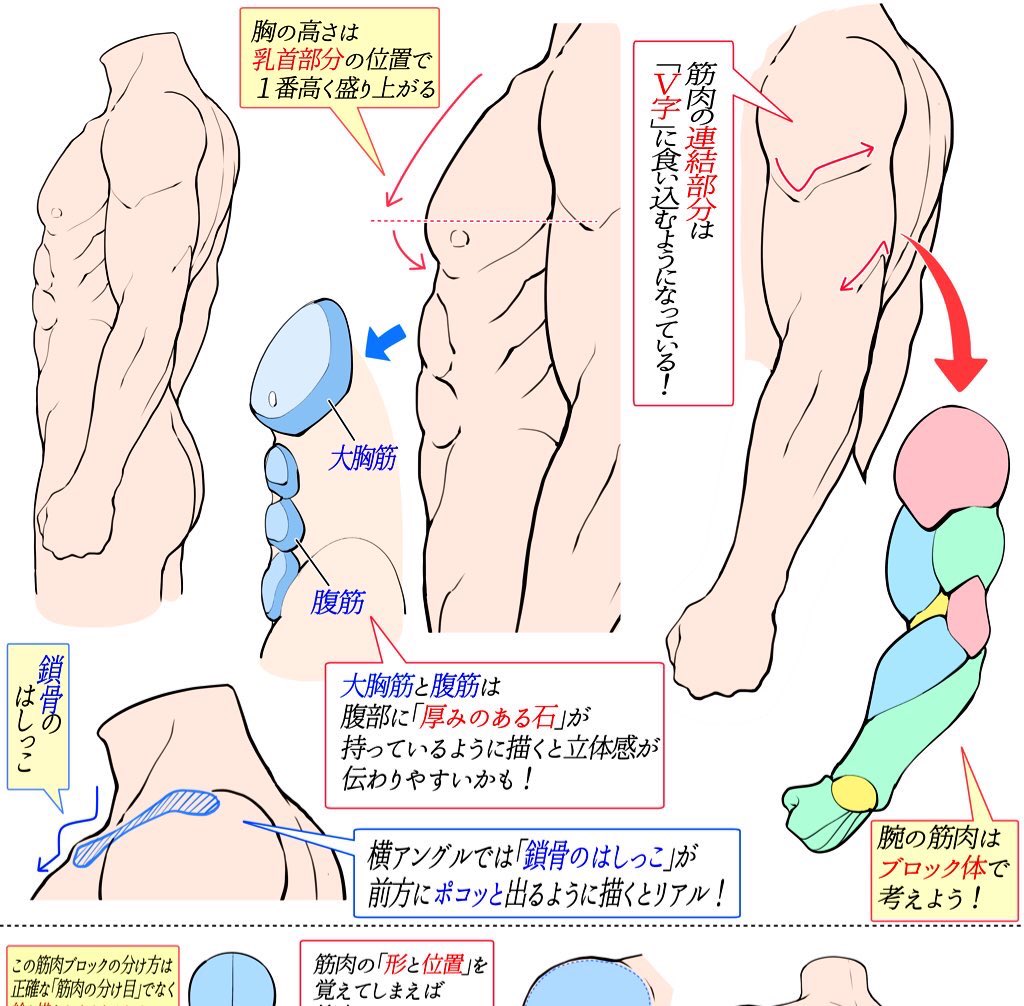 【吉村拓也のFANBOX講座】は
『イラスト講座の図書館📚』です
https://t.co/UKiQpTOVHF

全ての投稿が閲覧できる
『月額500円プランの人がほぼ9割』‼️

①毎月の新作講座も見れる📔

②500枚超のイラスト講座がまとめられた【描き方アーカイブ】が全て見放題✨

🔥初心者の人ほど上達できます🔥 