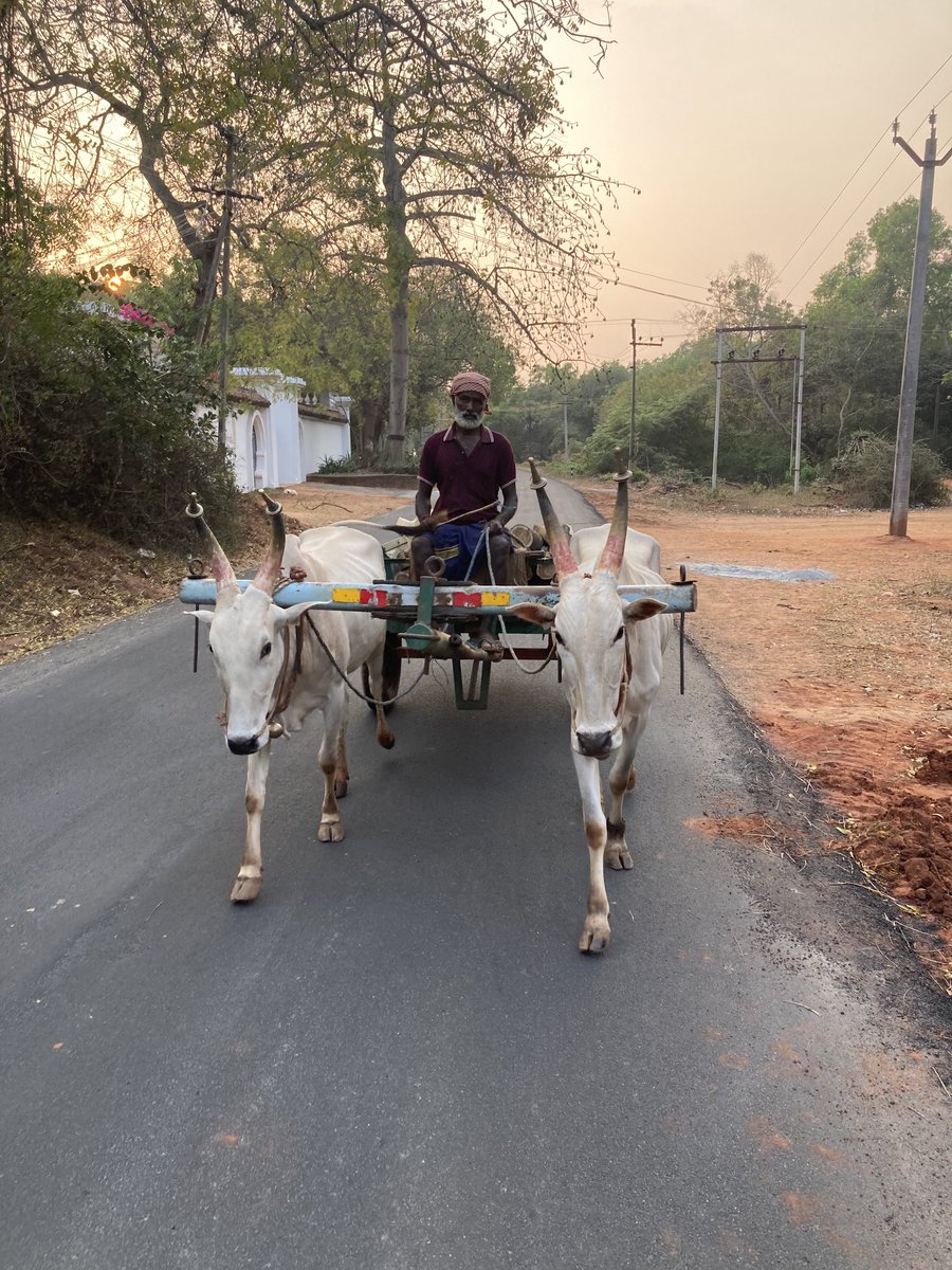 CoachFishINDIA's tweet image. Amazing energy and people (from 49 countries). In theory, what we all are looking for ……Auroville: experimental township in Viluppuram district, mostly in the state of Tamil Nadu, India, with some parts in the Union Territory of Pondicherry in India. Founded in 1968.