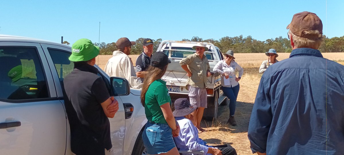 Mick Davis tweet media