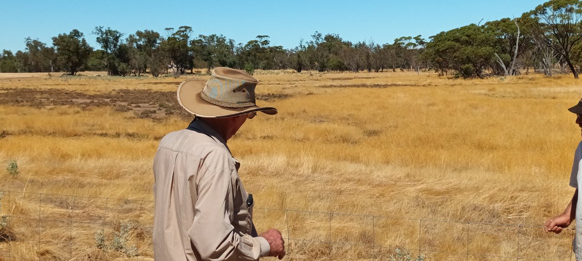 Mick Davis tweet media