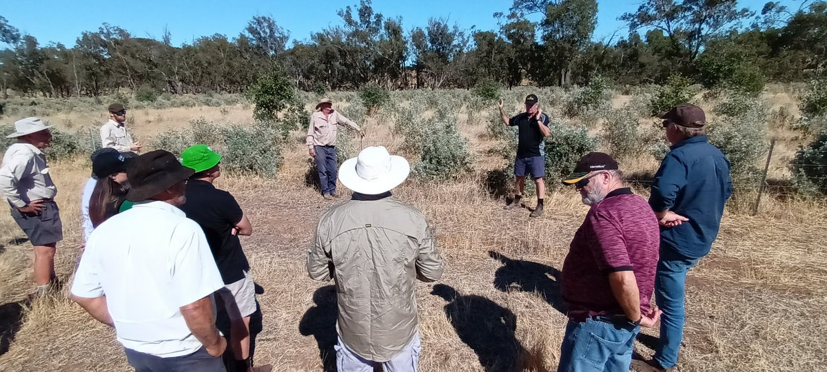 Mick Davis tweet media