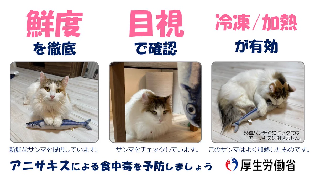 アニサキスには冷凍・加熱が有効！猫がかわいい厚労省からのお知らせ！