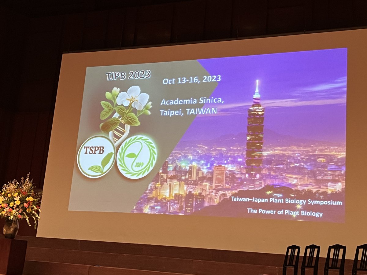 Wataru Sakamoto tweet media