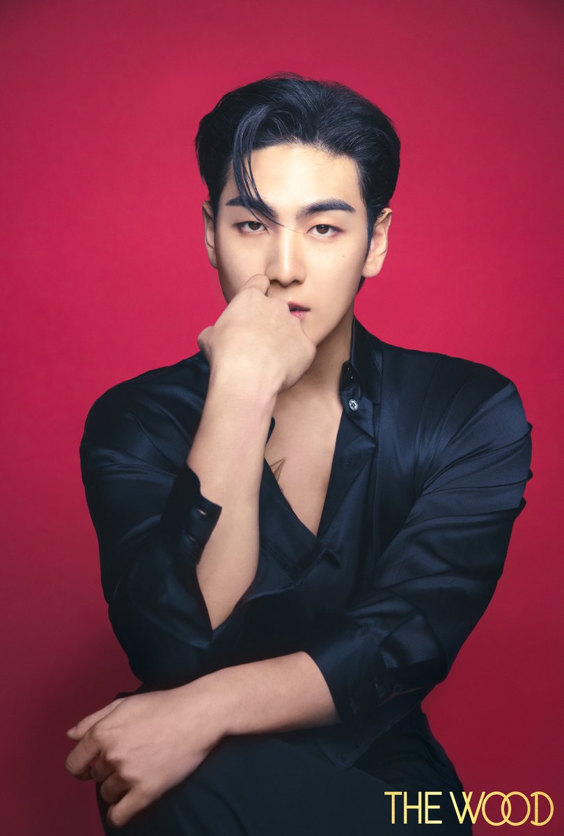 [🐯Welcome Back BAEKHO💚] 
그렇습니다.
GUESS WHO의 주인공은 바로...!!!
데일 듯한 이끌림에🎵
서로 우디한 향으로 만나게된 
🌳우디배코 입니다🌳
우디배코는 레드블랙이 진리죠❤️‍🔥🖤
@BAEKHO_PLEDIS
#BAEKHO #백호 #THEWOOD #더우드 #VEGANJ #비건제이