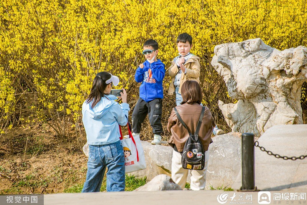 LinyiOfficial's tweet photo. #Spring is in full swing in #Linyi as various flowers, from plums and cherry blossoms to winter jasmines, are in bloom. Get out of the house and enjoy the beauty and fragrance of these flowers in the season of rebirth. #SpringinLinyi https://t.co/Veia5vwrRj