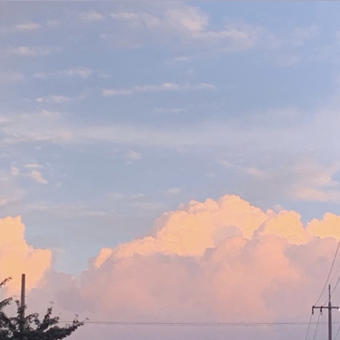 예쁜 포장지로 감싼 마조 펨섭
#섹트 #펨섭 #레즈 #펫 #마조