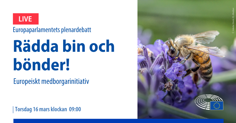 Europarl_SV's tweet photo. 🐝🌻 Idag debatterar ledamöterna ett europeiskt medborgarinitiativ om att fasa ut syntetiska bekämpningsmedel och skapa ett bi-vänligt jordbruk. #EPsession
