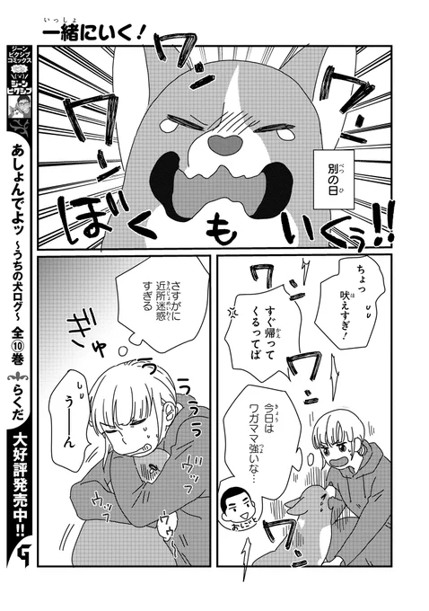 【ジーンピクシブ本日更新!!】
ぼくもいっしょ! 第11話後編
https://t.co/bbS5S1sw7B

旅行中ずっと一緒にいたからか、コーギーくんがお留守番を嫌がるようになっちゃった…。
駐車場までは一緒に行けたけど…ちょっとだけ我慢してナノ～!!
(ピクにゃん) 
