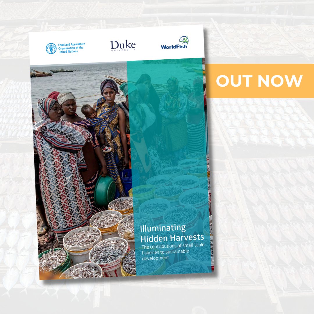 📣 Report out now! #IlluminatingHiddenHarvests: The contributions of #smallscalefisheries to #sustainabledevelopment!

Learn how this study aims to inform policy processes and empower fishing communities with key information. 👉doi.org/10.4060/cc4576…

#AquaticFoods #FoodSystems