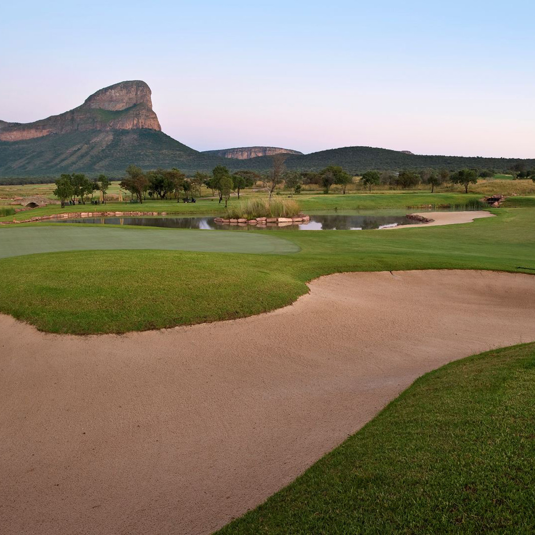 LegendsDAO tweet media