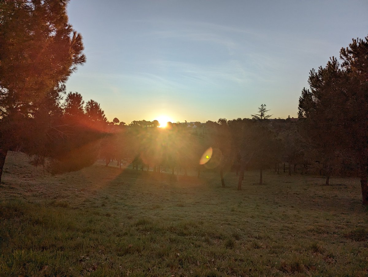 mmmmmmpc's tweet image. #MorningRunning with @ASICSeurope and @Garmin 
What a beautiful morning to run!
This week I'm on 3of4.
Getting slowly closer to #5of5

Since I have my Garmin FR55 I do not take my smartphone with me, but this time I made an exception, to take pics, because it fel like a great day