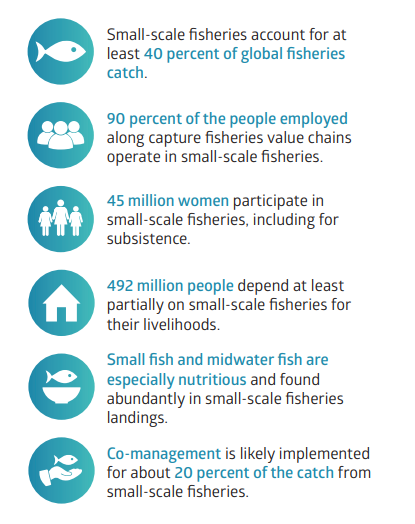 Some of the Key findings from the Illuminating Hidden Harvests report: 40% of the catch, 90 % of the employment,45 million WOMEN directly involved & 492 million people (women & men) depending on SSF - provides nutritious food and with existing co-management structures #IHH #SSF