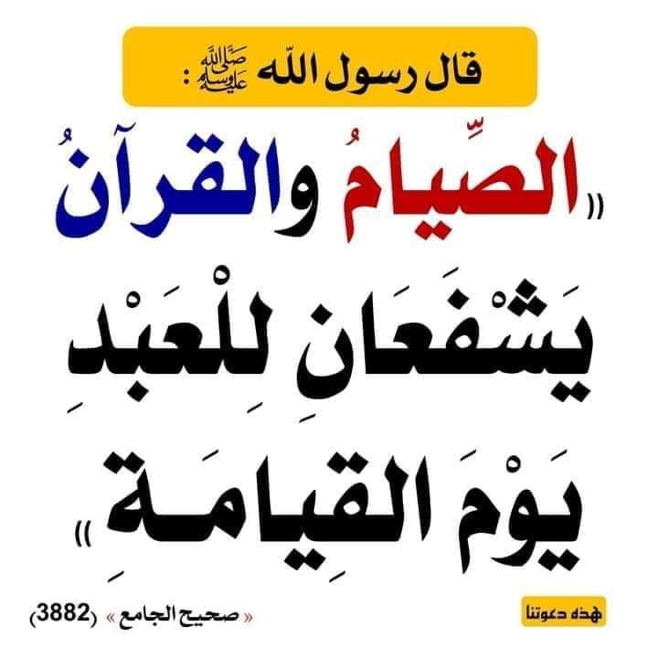 HammmouJ3431's tweet photo. #صورة_ملف_شخصي_جديدة https://t.co/QhaSR8WE0k