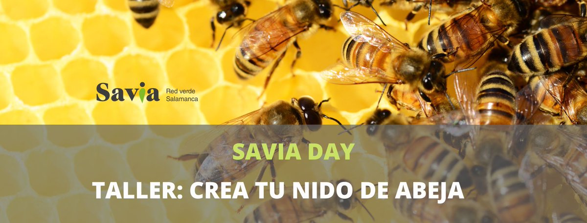 SaviaSalamanca's tweet photo. 🐝 ¡Qué éxito ha tenido el taller "Crea tu nido de abeja". Ya se han agotado todas las plazas. Gracias a todos/as los/as que os habéis inscrito. 🙌 👏

➡ Aún puedes apuntarte en otras actividades lúdicas del #SaviaDay. 

💛Consulta el programa completo👉 https://t.co/6TZpZTXWM7 https://t.co/zjlhxqr8NJ