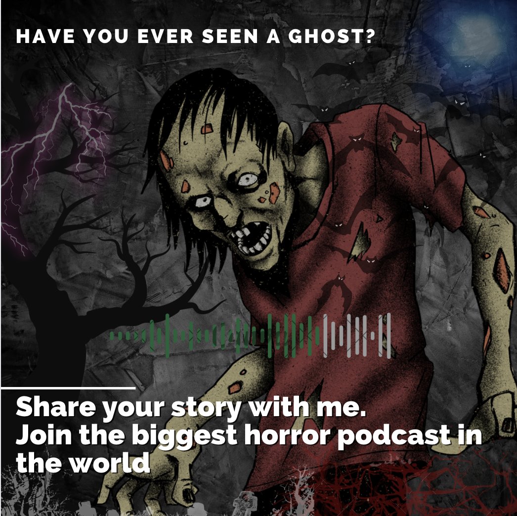 Studio41 tweet media