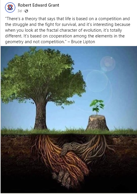 PetReboot's tweet photo. Why our art is fractal.
Visit https://t.co/VrOTF5LBMN https://t.co/mVqBcJnCWP