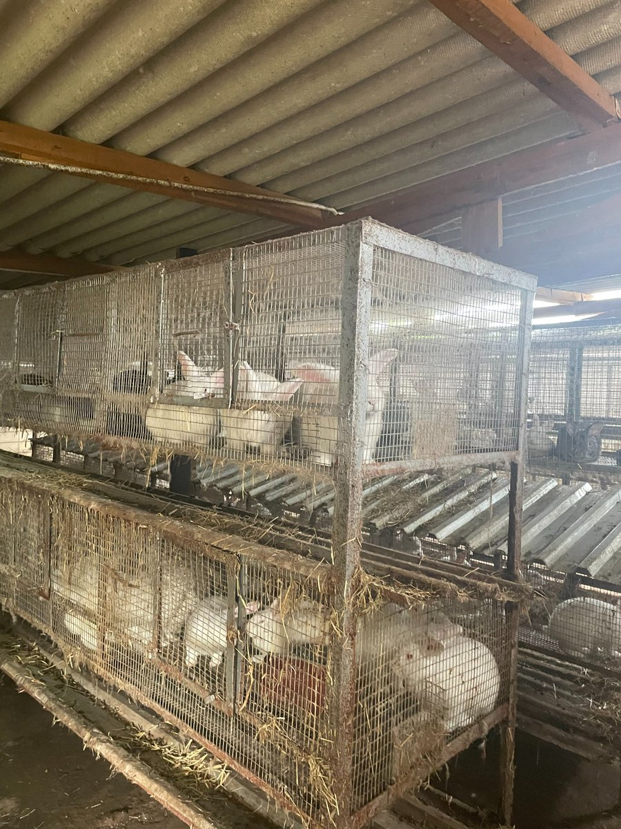 Chinese Embassy in Zimbabwe on Twitter "Glad to visit Zim Commercial