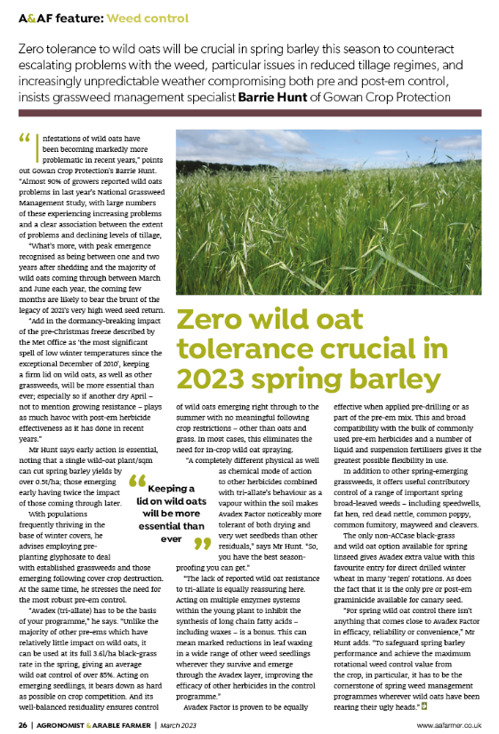 GowanUK's tweet image. Check out pg26 in the most recent publication of Agronomy &amp;amp; Arable Farmer, discussing the importance of early wild oat removal. #Avadex #SpringBarley #WildOat
indd.adobe.com/view/87ebcd6a-…