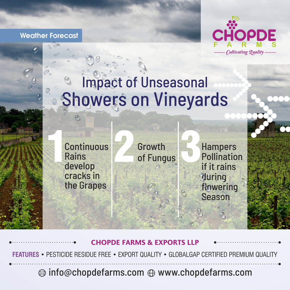 ChopdeFarms's tweet photo. Weather Forecast
☑️Showers expected on 16th, 17th and 18th March
☑️The Impact of Unseasonal Showers on Vineyards
☑️How to take care of your crops?

#weatherforecast #chopdefarms #fruitexport #fruit #export #fruits #fruitimport #freshfruit #freshfruits #fruitexporters #iranexport https://t.co/1iPKkJe79s
