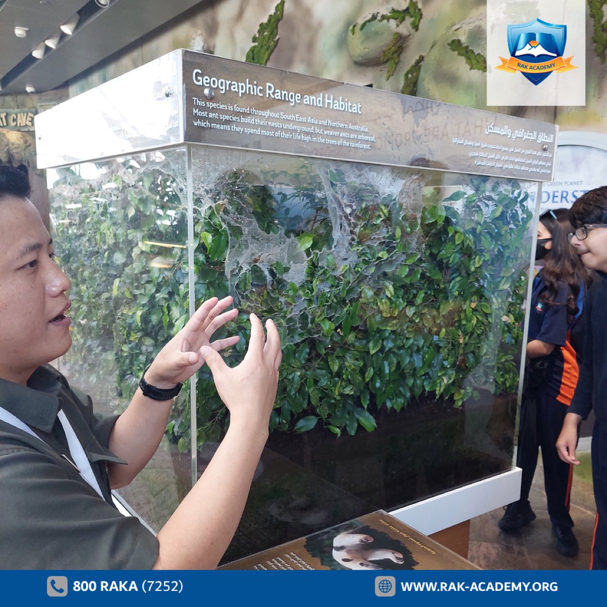rakacademy_raka's tweet photo. Exploring the wonders of our world! 🌍🌿 Our grade 9 class had an amazing time on their geography trip to Green Planet. From learning about different ecosystems to discovering unique plant species. 🌿🌱
#Rakacademy #rasalkhaimah #GreenPlanet #GeographyTrip #ExploringOurWorld https://t.co/GfLy52iUXx