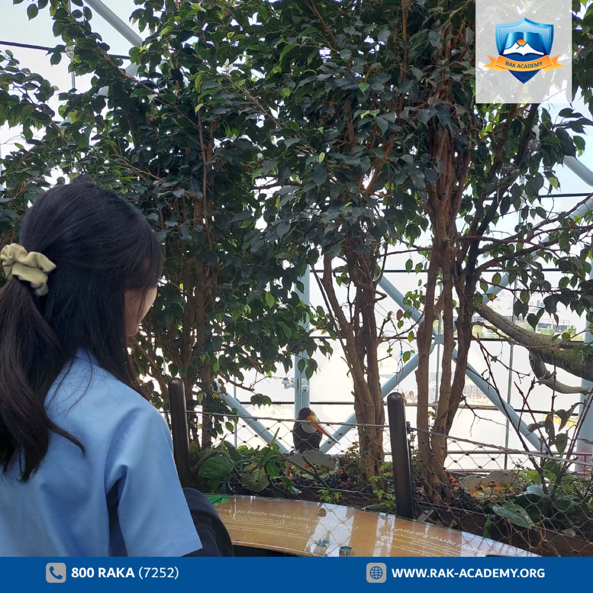rakacademy_raka's tweet photo. Exploring the wonders of our world! 🌍🌿 Our grade 9 class had an amazing time on their geography trip to Green Planet. From learning about different ecosystems to discovering unique plant species. 🌿🌱
#Rakacademy #rasalkhaimah #GreenPlanet #GeographyTrip #ExploringOurWorld https://t.co/GfLy52iUXx